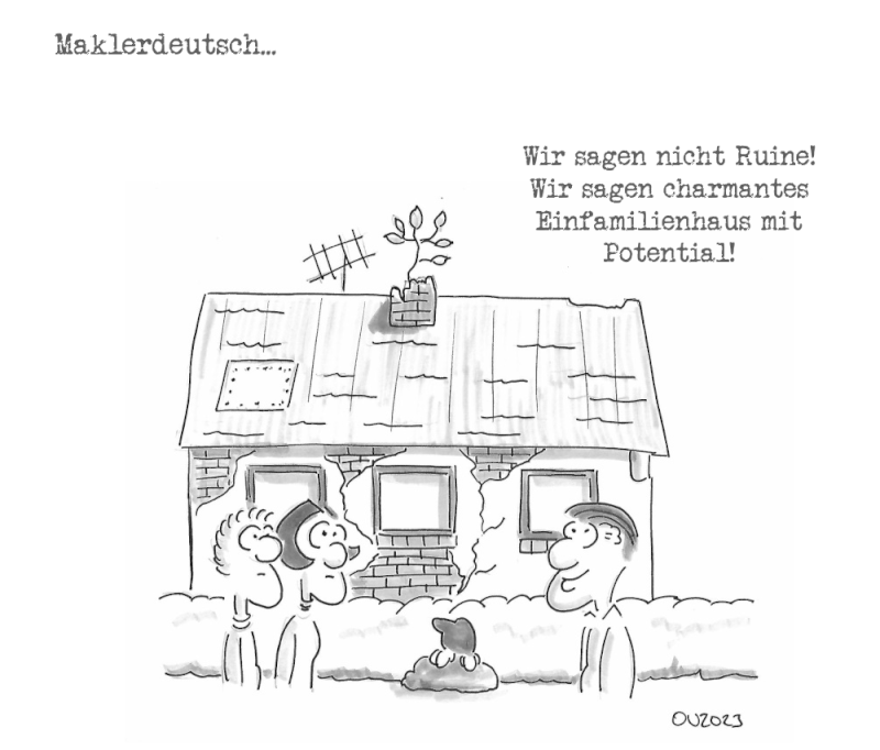 karikatur immobilienmakler maklerdeutsch ruine